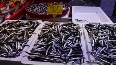 Konya'da 2025 yılının ilk kampanyası. Hamsi 89 lira
