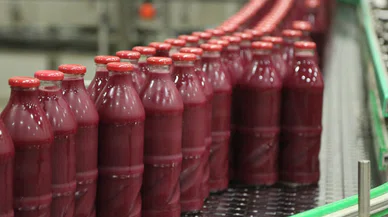 Meyve suyunda bir ilk! Torku gerçek sıkma işlemi uyguluyor