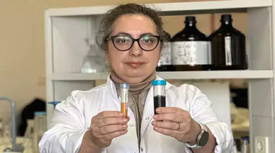 Geyik mantarı, karaciğer kanseri hücrelerini öldürüyor
