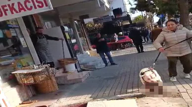 Yasaklı ırk dehşet saçmıştı: Sahibi gözaltına alındı
