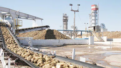 Konya şeker üretimde devler ligine girdi