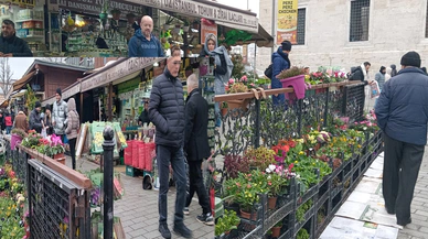 İstanbul Eminönü çiçek ve fidan pazarı kış görmüyor
