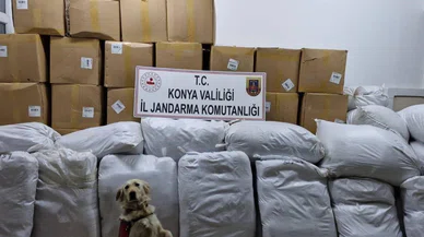 Konya'da kaçak tütüne geçit verilmedi: 822 kilogram ele geçirildi