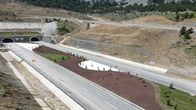 Konya'da araç kullananlar bu yola girmek istemiyor. Domuz sayısı giderek artıyor