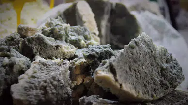 Konya'nın dillere destan peyniri gündem oldu. Küflü peynir ve kirli hanım seviliyor