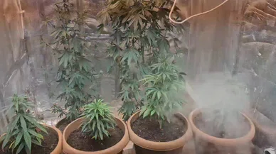 Hırdavatçı dükkanını uyuşturucu serasına çevirmiş