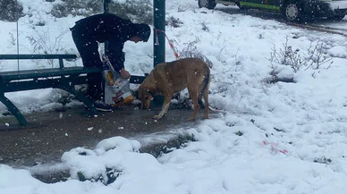Soğuklar bir anda hayatı alt-üst etti ama sokak hayvanları unutulmadı