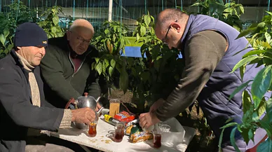 Antalya'da sıcaklık gece sıfırın altına düştü, seralarda 'zirai don' nöbeti başladı
