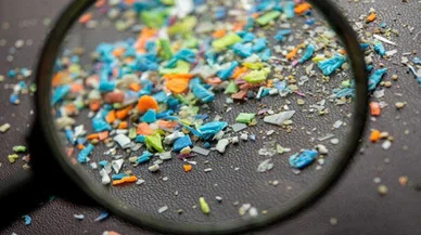 Korkutan araştırma: Mikroplastikler beyinde birikiyor