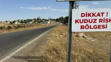 Siverek'te kuduz alarmı; karantina başlatıldı
