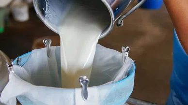 Çiğ süt maliyeti artı, süte zam istendi