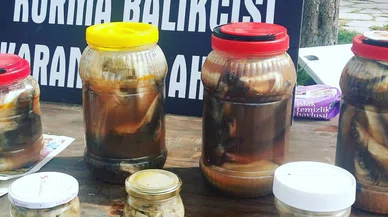 Sadece has Konyalılar bu geleneği biliyor. Balığın turşu mevsimi başladı