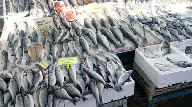 Konyalılar balık yemeyi unuttu. Fiyatlar, Ramazan ayı öncesi düştü
