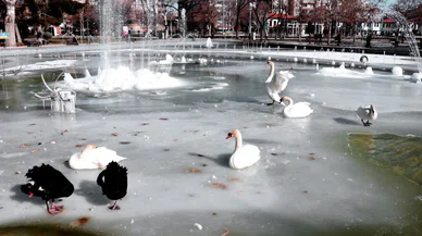 Konya'da pazar günü planı olanlar dikkat! Şehir resmen buz tutacak