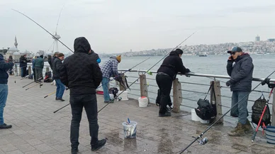 Sibirya soğuğu bereket getirdi: İstanbul'da olta balıkçıları boğazı ve sahilleri doldurdu