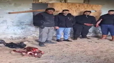 İzmir'de at eti keserken suçüstü yakalandılar