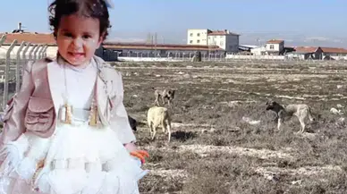 Konya'da köpeklerin öldürdüğü Rana Bebeğin kesin otopsi raporu açıklandı. 1 kişi tutuklandı