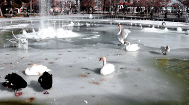 Konya dün gece adeta dondu! Mart kapıdan fena baktırdı