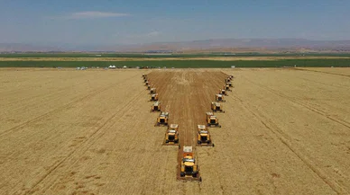 Her yıl rekora koşan Konya bu yıl hayal kırıklığına uğrattı. 70 dekardan 3 ton arpa çıktı