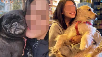 Saldırgan köpek besleyene hapis cezası