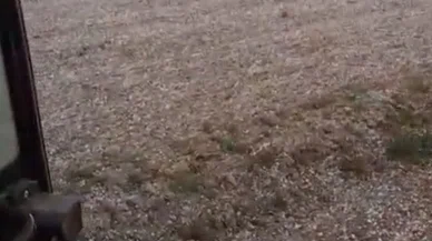 Konya’da çiftçilerin yağmur mutluluğu
