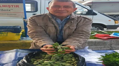 Baharın müjdecisi! Kilosu 250 liradan tezgahlarda yerini aldı