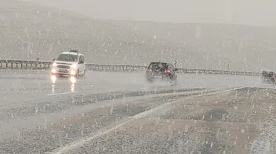 Van'da lapa lapa kar yağıyor