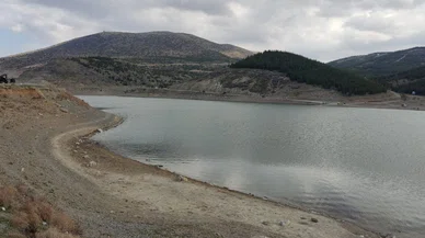 Konya'da hayvan barınağı için bu gölün etrafı seçildi. Sokak köpekleri buraya toplanacak