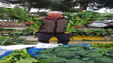 Tanesi 70 TL'den satılıyor, sezon açıldı
