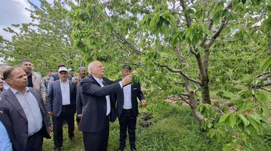 TZOB Başkanı Bayraktar, Akşehir'de zirai dondan etkilenen bahçeleri inceledi