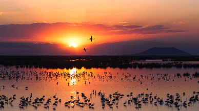 Konya'da Tuz turizmi: Ekolojik turizmde yeni bir anlayış ve yepyeni bir lokasyon