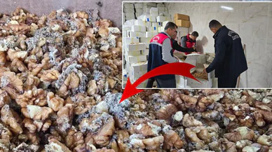 Ünlü baklavacıdan mide bulandıran görüntüler