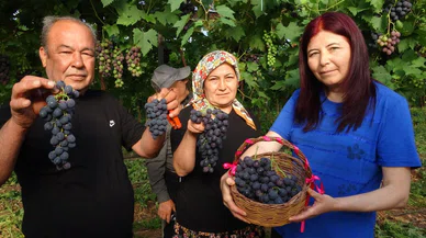 O şehrin siyah incisi; kilosu tam 250 lira