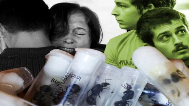 5 bin kraliçe karıncayla yakalanan 4 gence "biyolojik korsanlık" cezası