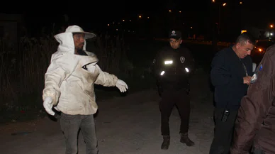 Konya'da arı dolu kamyonet devrildi. Ortalık savaş alanına döndü