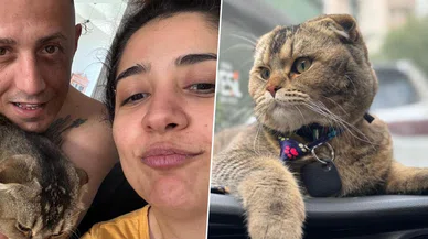 Kedisi kaybolan Zeynep Eğri'nin gözyaşları: Kocam beni boşayacak