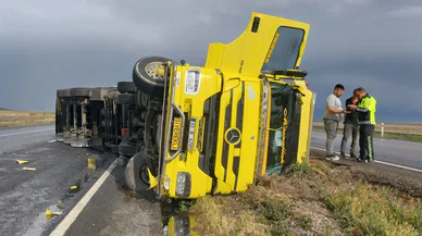 Tır devrildi, anguslar kayboldu