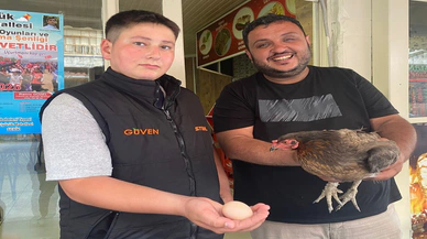 Gezen tavuğu yumurtladığı yer herkese 'pes' dedirtti