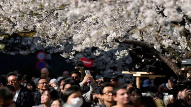 Japonya bu kehanetle sarsılıyor