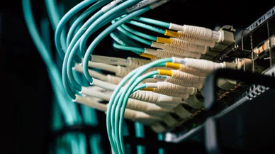 Dev hosting şirketi Natro çöktü mü?