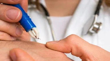Kene kabusu bitmiyor: 2 ölü, 6 kişi de hastanede