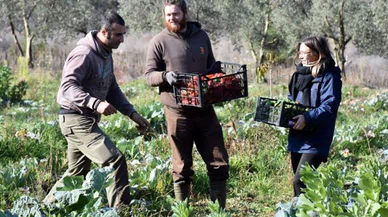 O sektörde gençlerin oranı yüzde 5'e düştü