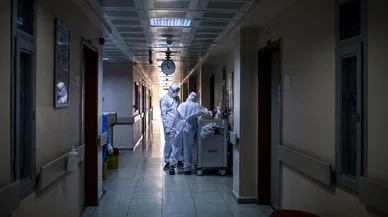 Koronavirüs geri mi dönüyor: Bir haftada 257'den 1100 vaka