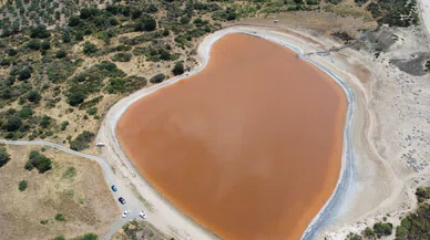 Hem kalp şeklinde hem de pembe... Görenleri mest ediyor
