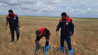Konya’da üst düzey yönetici çizme galoşunu giyip arazi teftişine çıktı