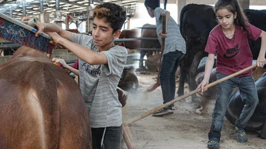 Biri 12, diğeri 8 yaşında: Kurban pazarı oyun alanları oldu