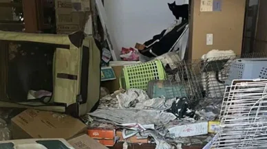 Hayvan koruma gönüllüsünün evinden 100 ölü kedi