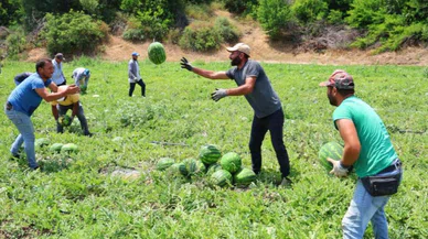 Ucuza yemek için acele edin, sadece 1 hafta sürecek