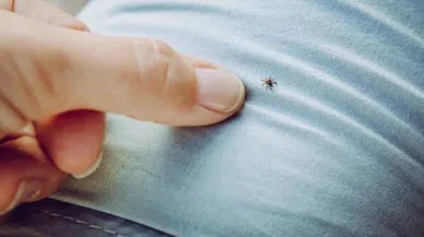 Kene kabusunda artış var: 6 can kaybı