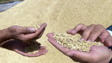 Hububatta ihracat rekoru kırıldı: Konyalı çiftçiler buğday alım fiyatlarının enflasyonla uyumlu belirlenmesini istiyor